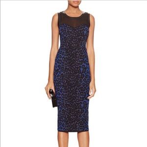 RACHEL Rachel Roy Graphic Intarsia Sheath Dress